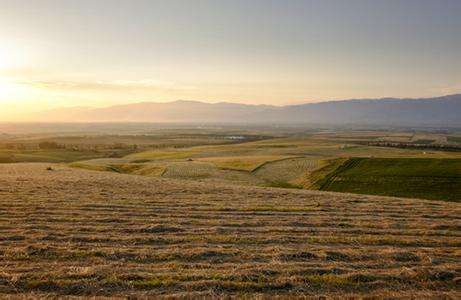 土壤墑情速測儀